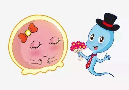 試管嬰兒被證實最多活到45歲，你信么？